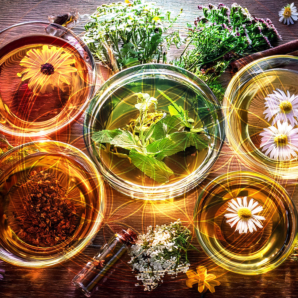 Nature-Based Healing & Herbal Support