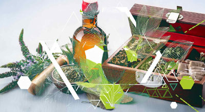 Herbal Emergency Kit