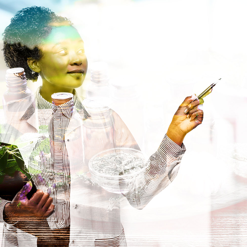 Traditional Body Analysis Scan